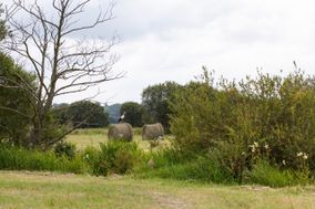 Ferme de Bricqueville