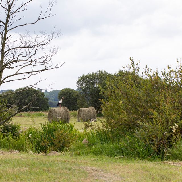 Ferme de Bricqueville