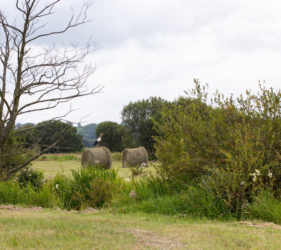 Ferme de Bricqueville